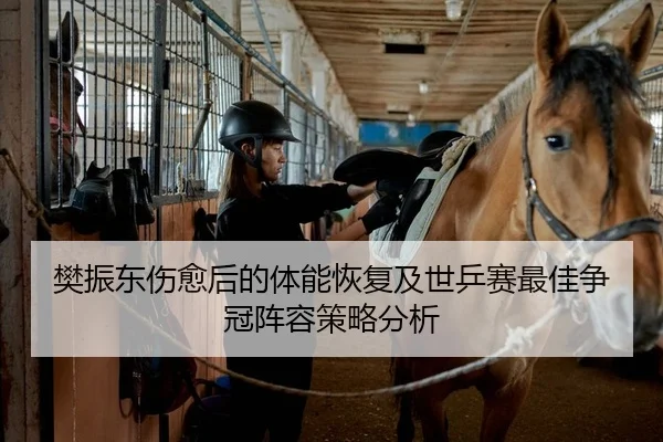 樊振东伤愈后的体能恢复及世乒赛最佳争冠阵容策略分析