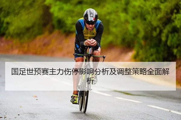 国足世预赛主力伤停影响分析及调整策略全面解析